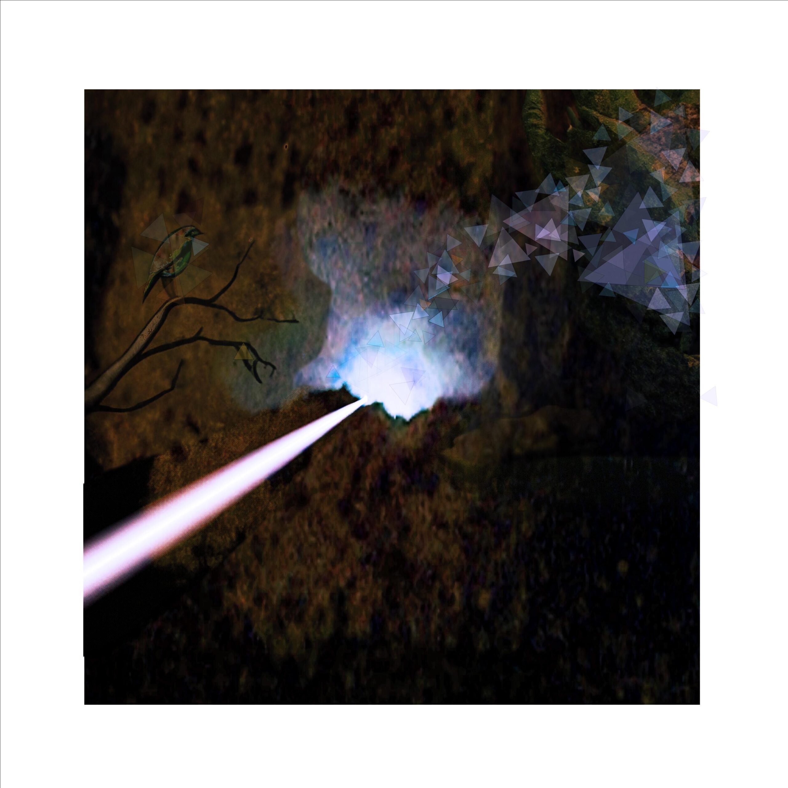 Dreams Gone Bloom (feat. Elisabeth Pelo)